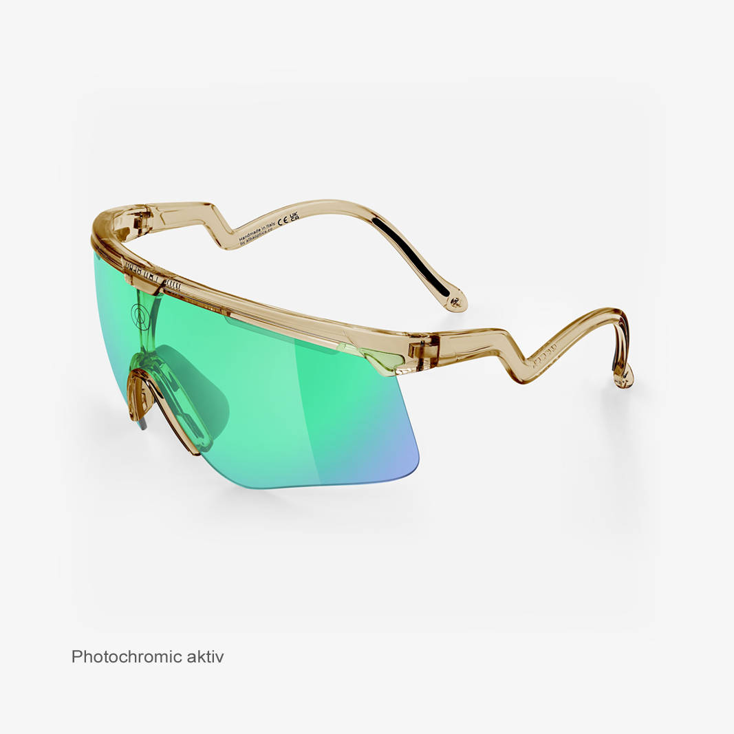 Alba Optics Delta Smoke Glossy / VZUM™ F-Lens BTL Photochromic activ