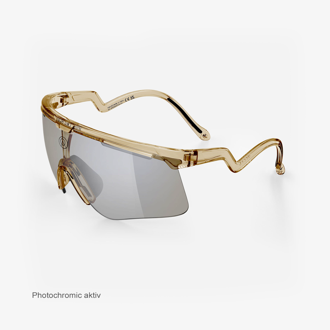 Alba Optics Delta Smoke Glossy / VZUM™ F-Lens Classic Photochromic activ