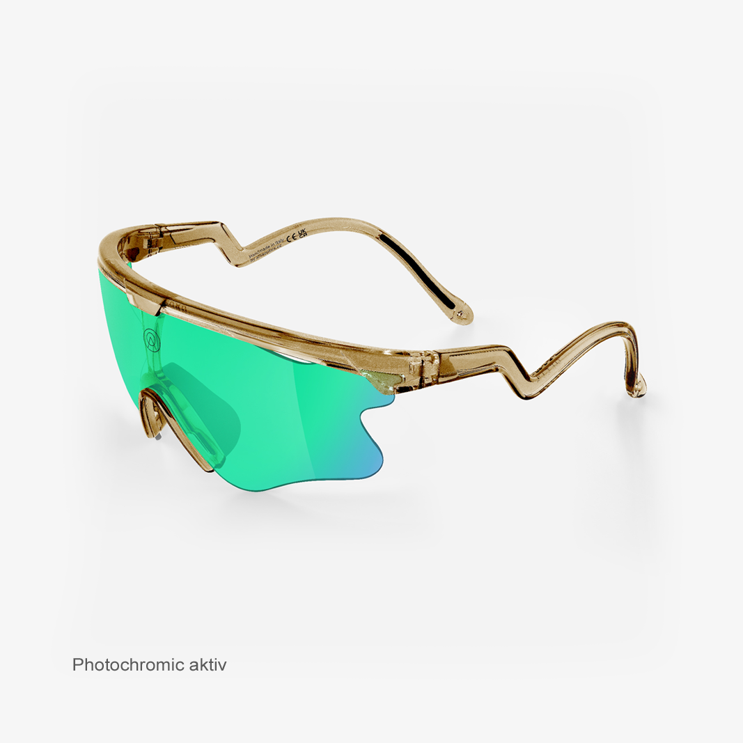 Alba Optics Delta LEI Smoke Glossy / VZUM™ F-Lens BTL Photochromic activ