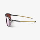 Julbo Density Schwarz - Hellbraun / Spectron 3 HD