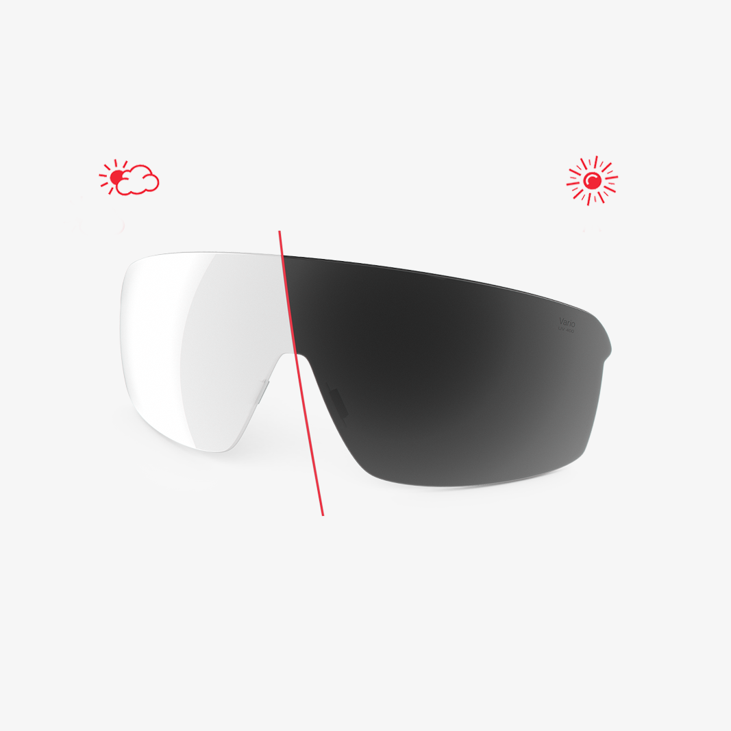 Traileye Wechselglas / LST Vario